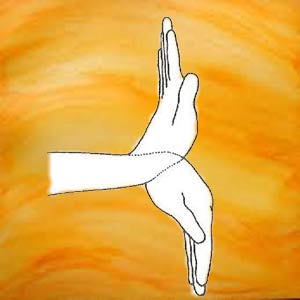 Wrist-Bending-Yoga
