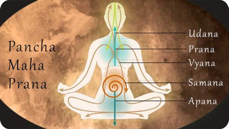 Pancha Pranas 5 Pranas Or Vital Life Forces In Human Body