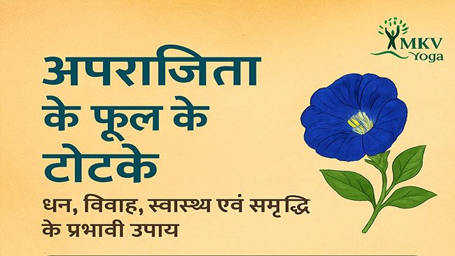 अपराजिता के फूल के टोटके – धन, विवाह, स्वास्थ्य एवं समृद्धि के प्रभावी उपाय अपराजिता के फूल के टोटके